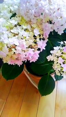5月写真
