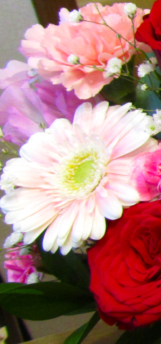 3月写真