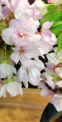 4月写真